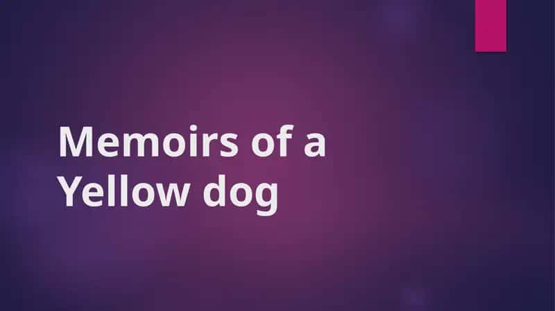 Memoirs of a Yellow Dog 1