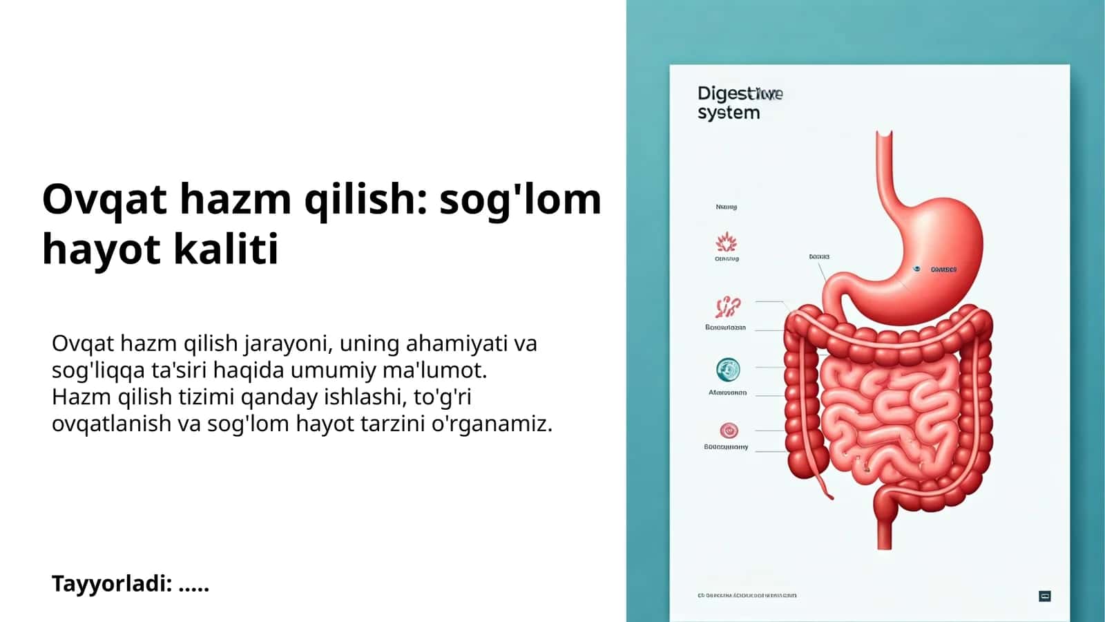 Ovqat hazm qilish: sog'lom hayot kaliti 1