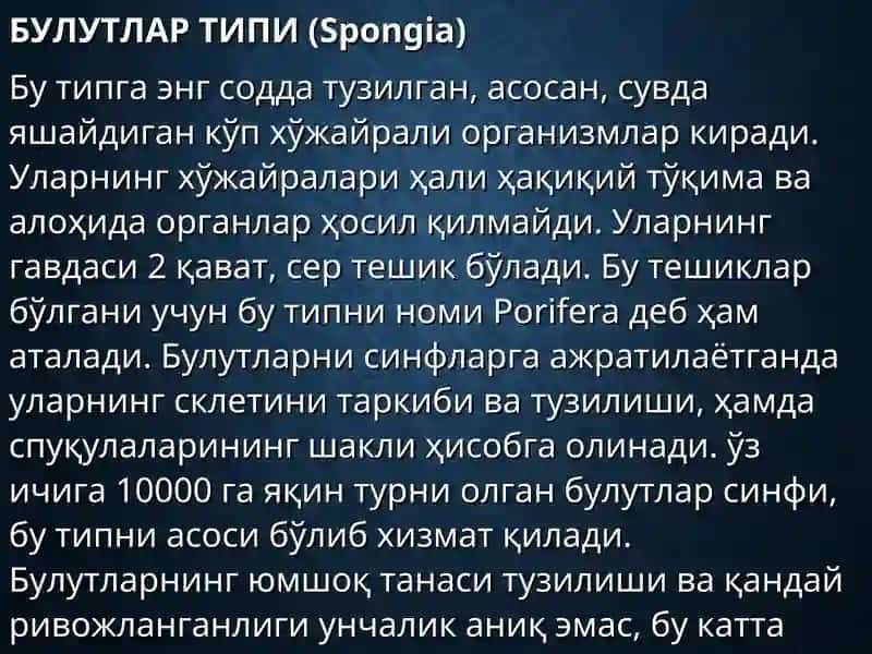 БУЛУТЛАР ТИПИ (Spongia) 1