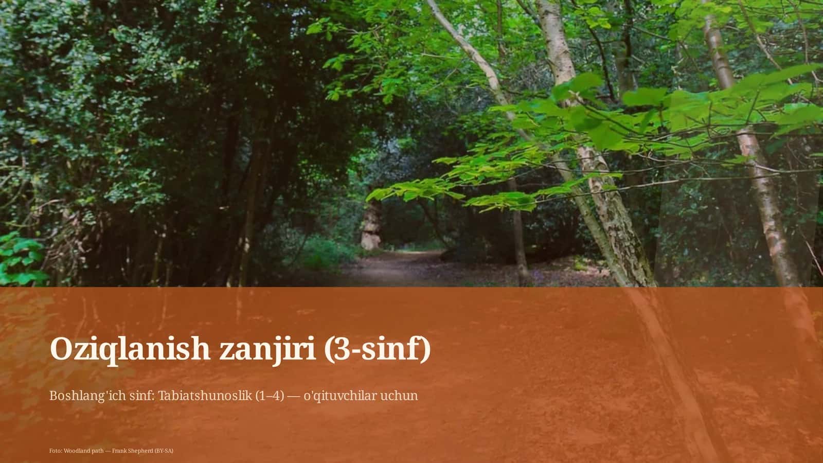 Oziqlanish zanjiri (3-sinf) 1
