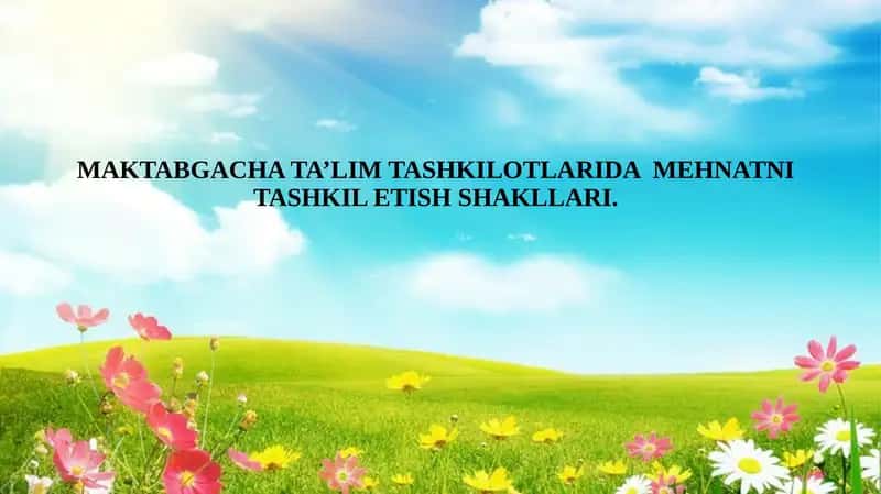 MAKTABGACHA TA’LIM TASHKILOTLARIDA  MEHNATNI TASHKIL ETISH SHAKLLARI. 1