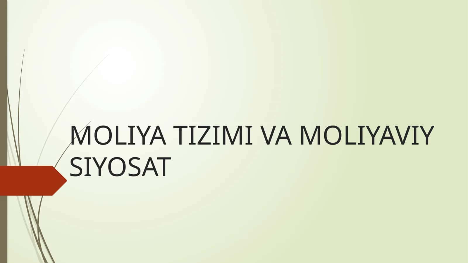 Moliya Tizimi va Moliyaviy Siyosat 1