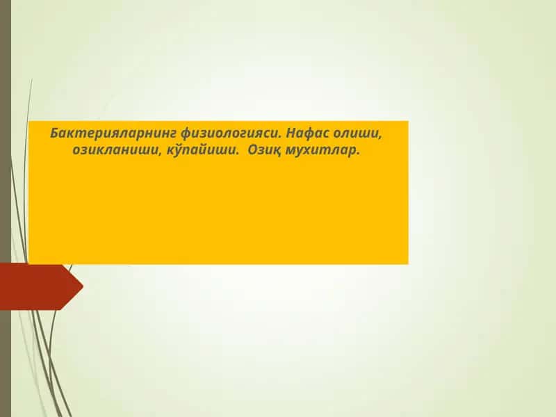 Бактерияларнингфизиологияси 1
