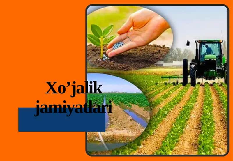 Xo‘jalik jamiyatlari 1