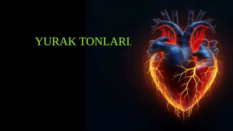 YURAK TONLARI 1