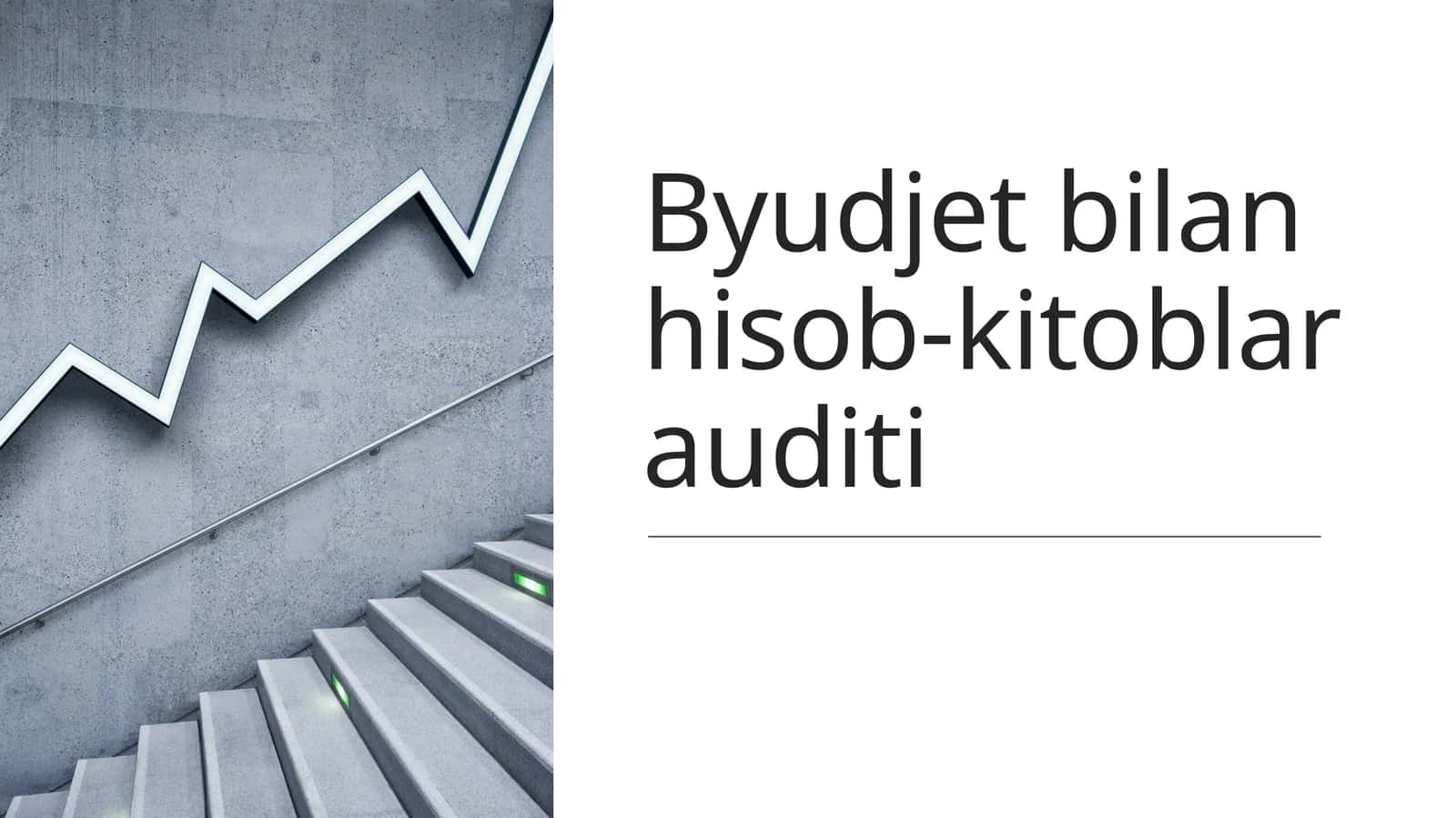 Byudjet hisob-kitoblari auditi 1