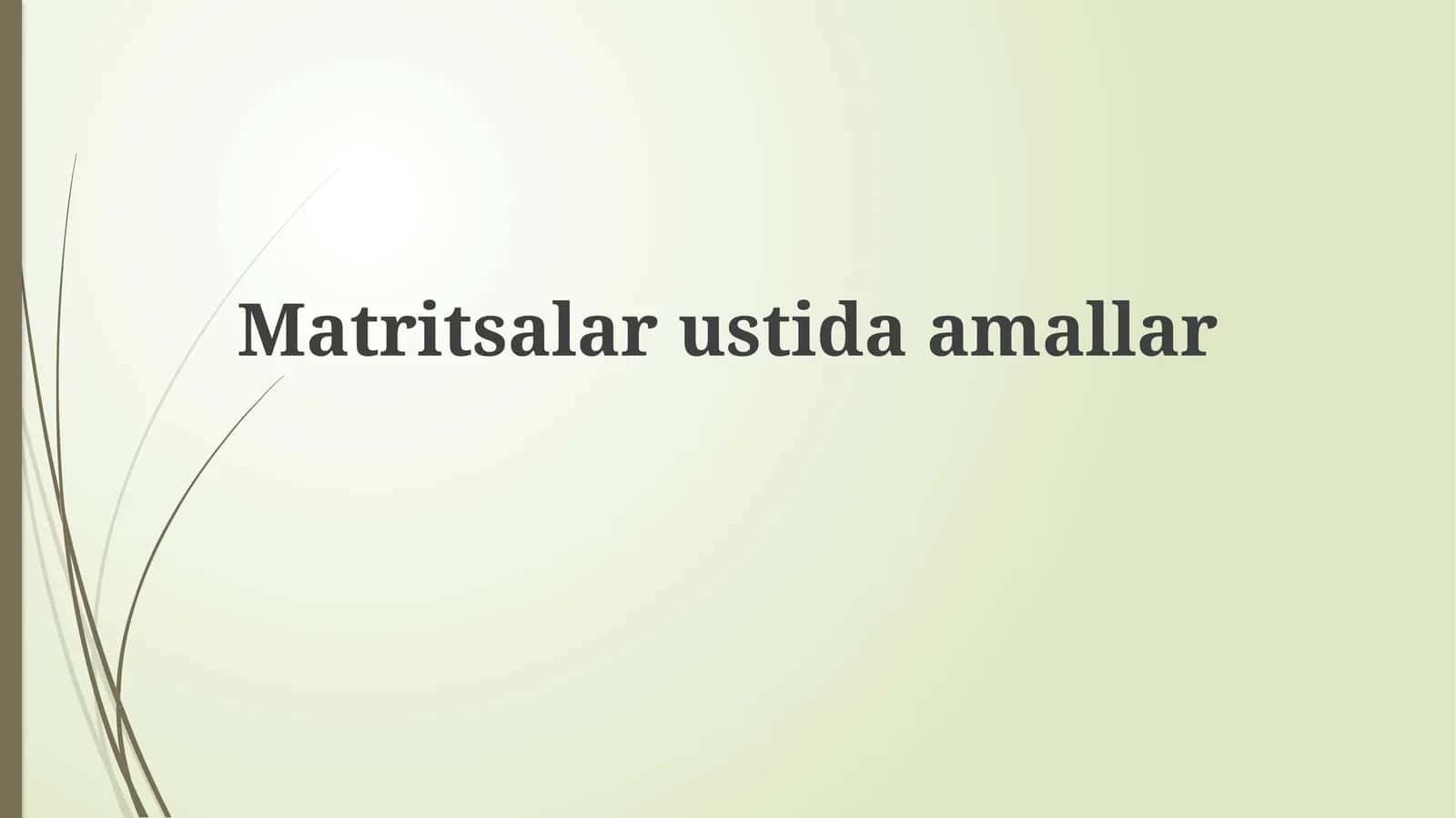 Matritsalar va ular ustida amallar 1
