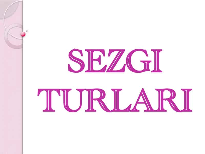 SEZGI TURLARI 1