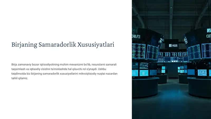 Birjaning Samaradorlik Xususiyatlari 1