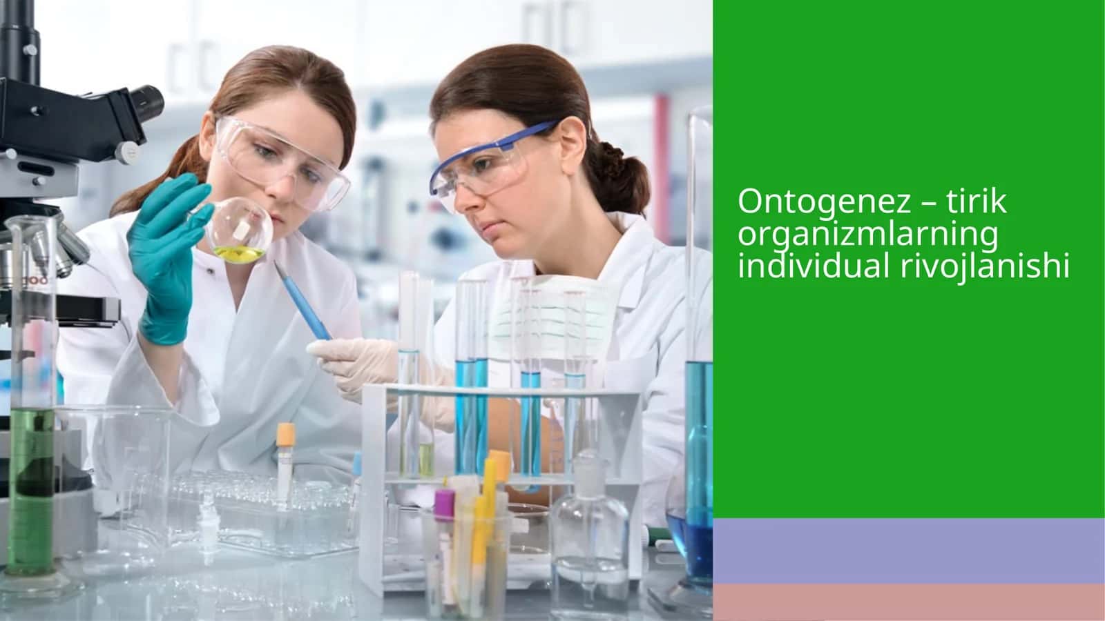 Ontogenez–tirikorganizmlarning individual rivojlanishi 1