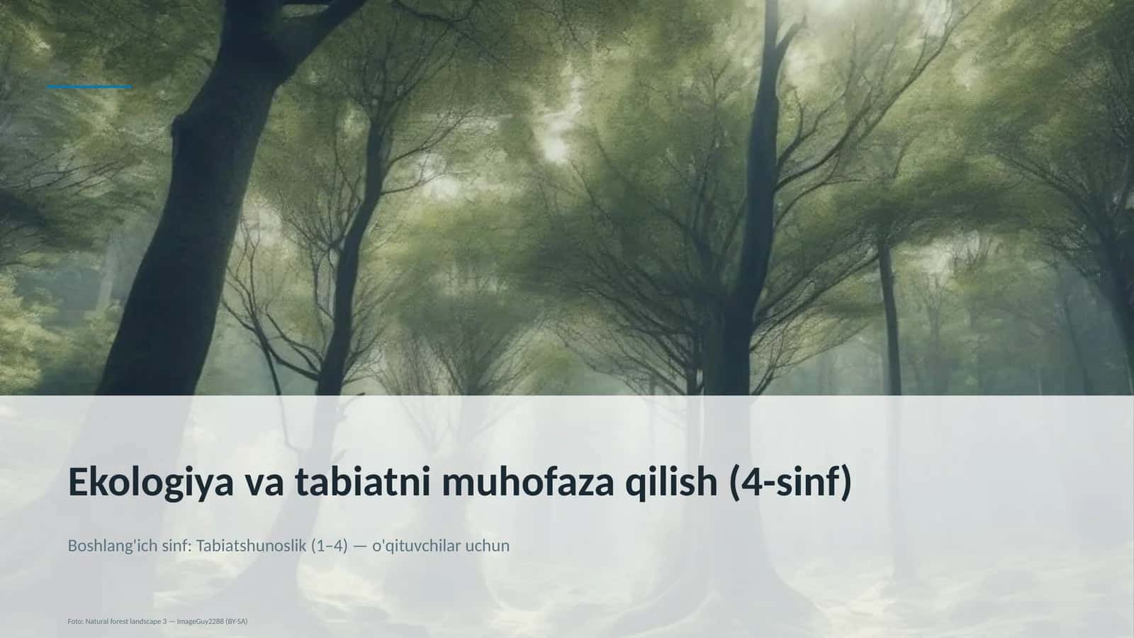 Ekologiya va tabiatni muhofaza qilish (4-sinf) 1