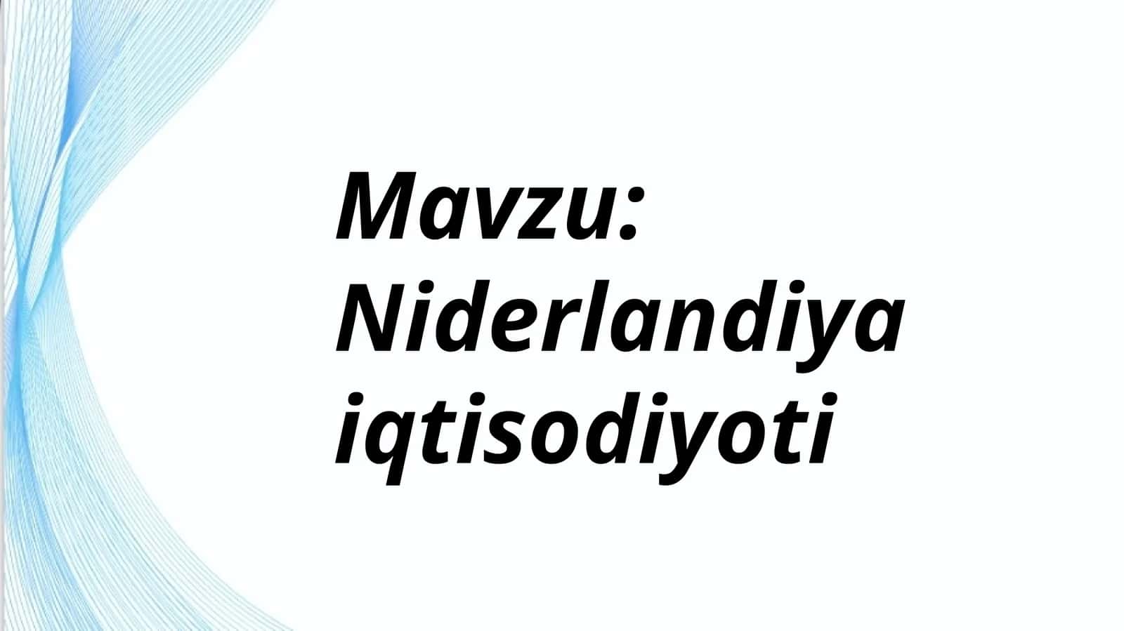 Niderlandiya iqtisodiyoti 1