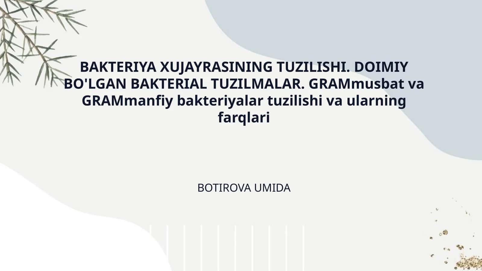 BAKTERIYA XUJAYRASINING TUZILISHI. DOIMIY BO'LGAN BAKTERIAL TUZILMALAR. GRAMmusbat va GRAMmanfiy bakteriyalar tuzilishi va ularning farqlari 1