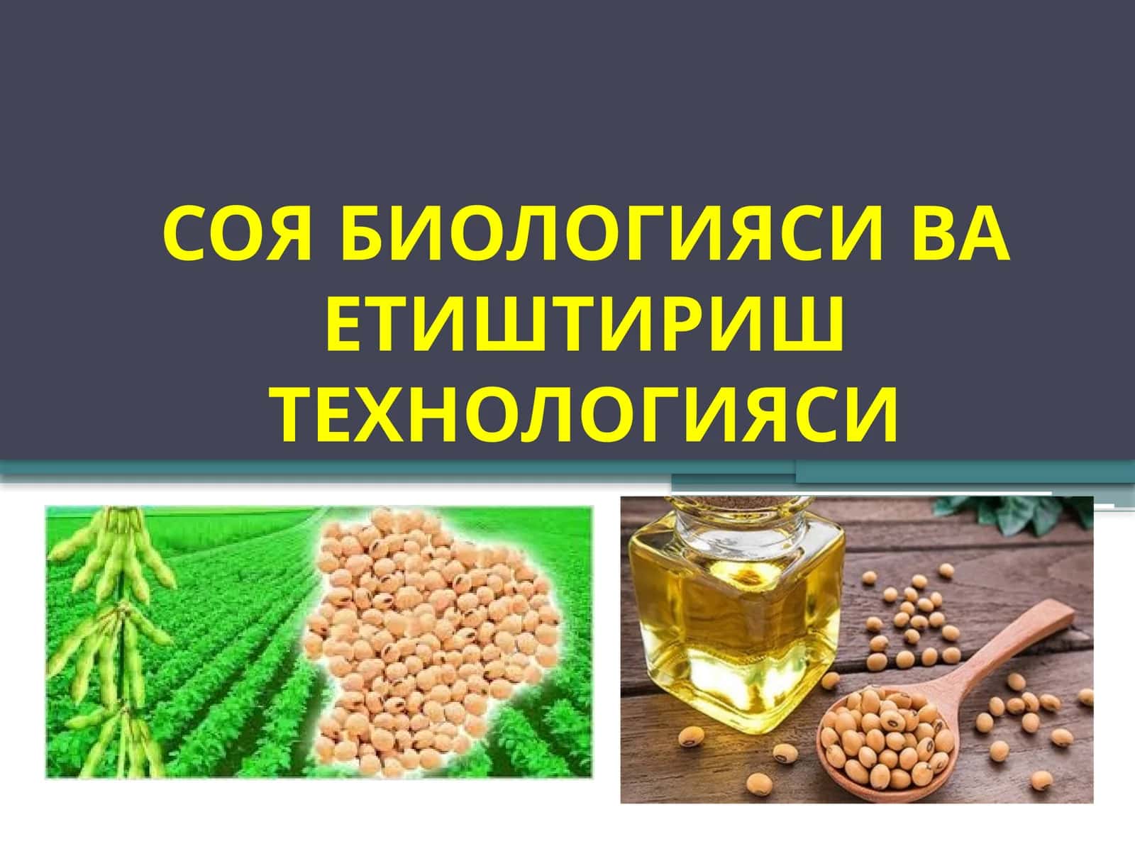 СОЯ БИОЛОГИЯСИ ВА ЕТИШТИРИШ ТЕХНОЛОГИЯСИ 1