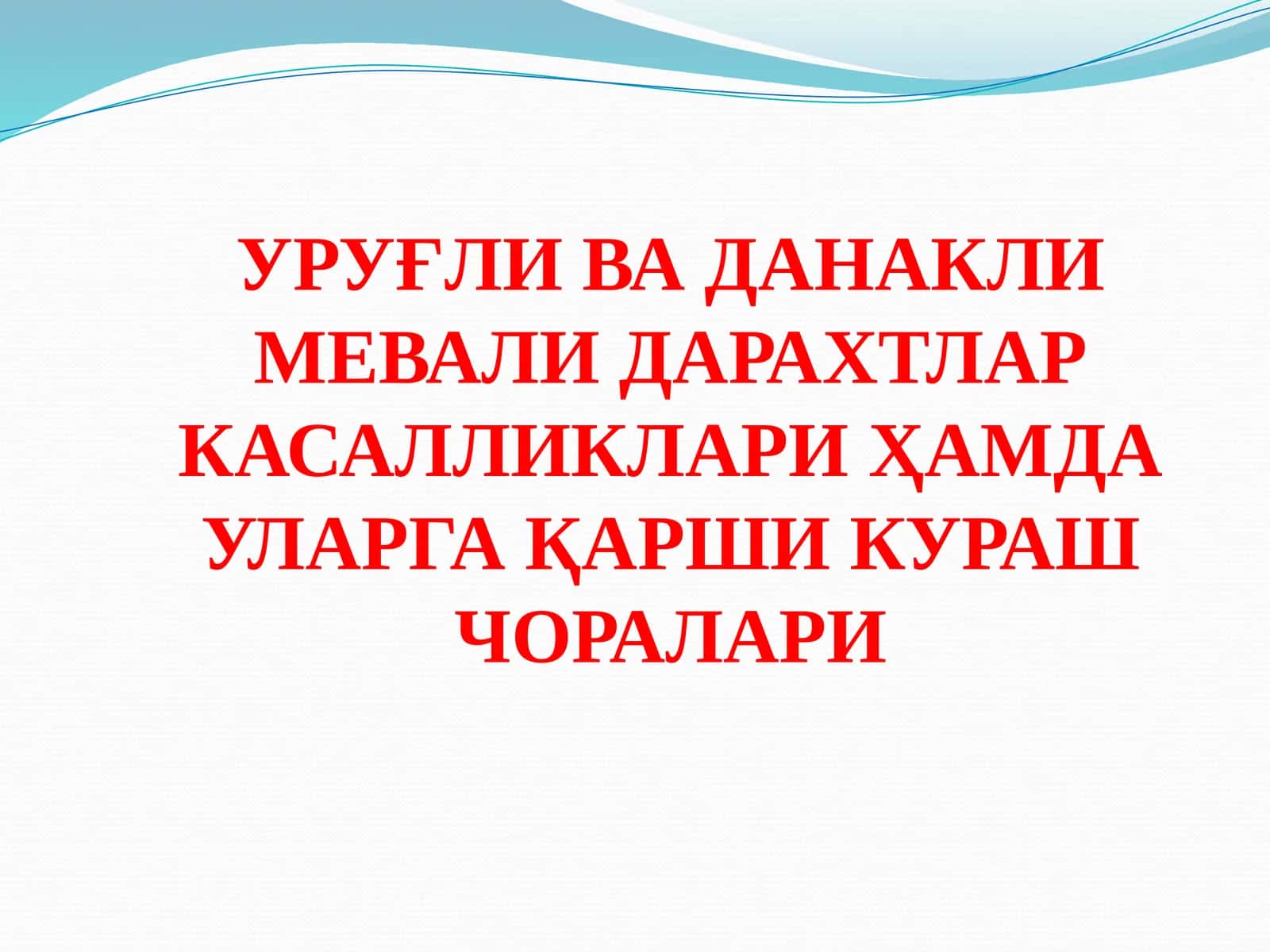 УРУҒЛИВА ДАНАКЛИ МЕВАЛИ ДАРАХТЛАР КАСАЛЛИКЛАРИ ҲАМДА УЛАРГА ҚАРШИ КУРАШ ЧОРАЛАРИ 1