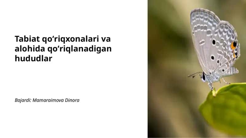 Tabiat qoʻriqxonalari va alohida qoʻriqlanadigan hududlar 1