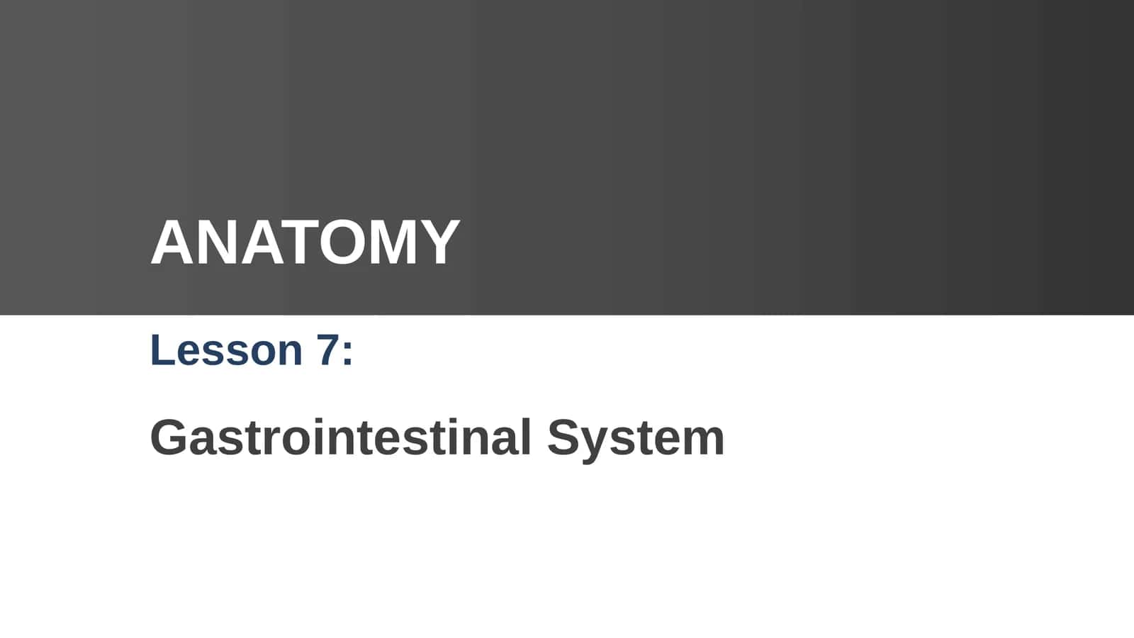 Gastrointestinal System Lesson 7 1