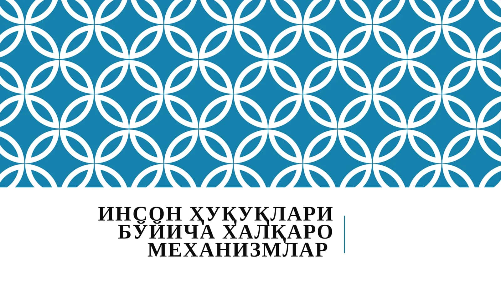 Инсон Ҳуқуқлари Бўйича Халқаро Механизмлар 1
