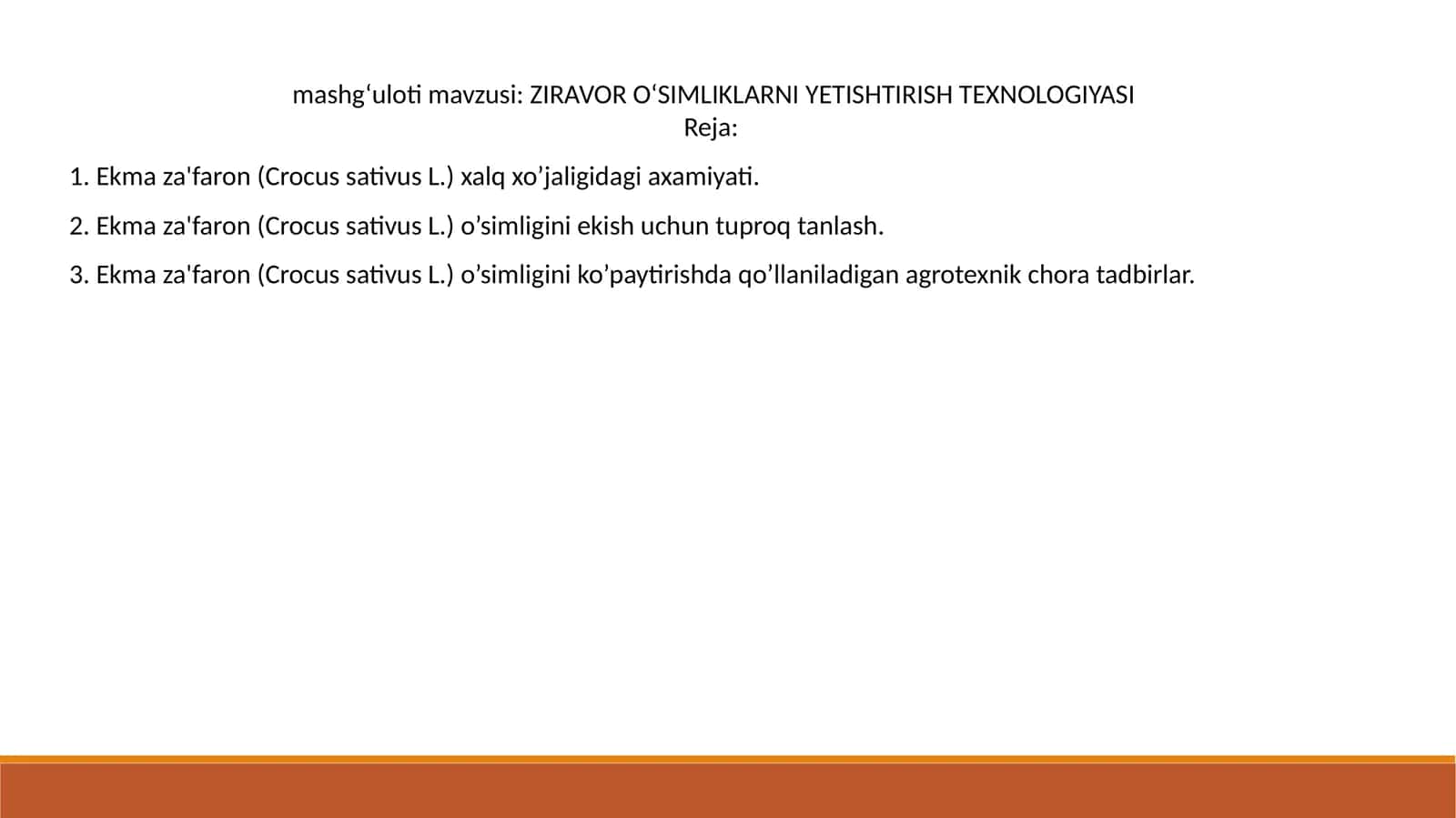 Ekma za'faron (Crocus sativus L.) YETISHTIRISH TEXNOLOGIYASI 1