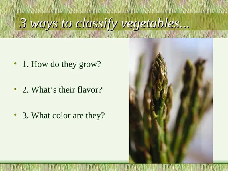 Classification of Vegetables 1
