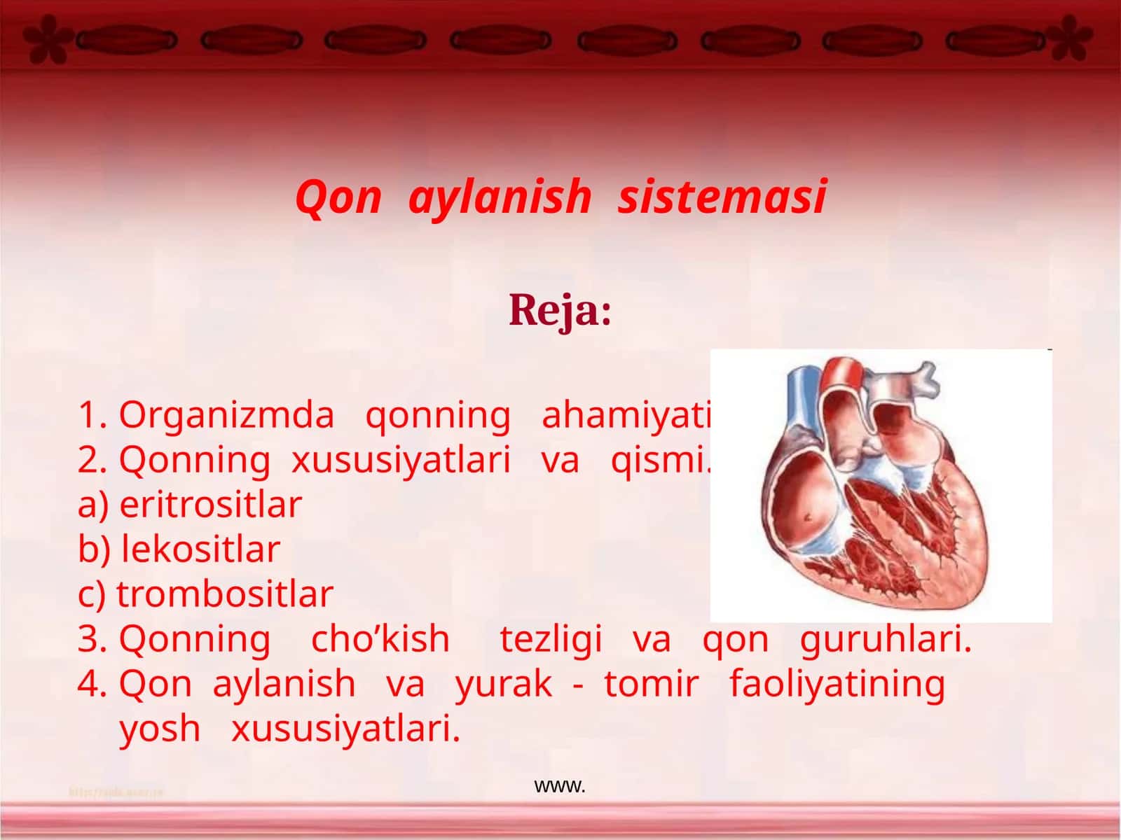 Qon aylanishsistemasi 1