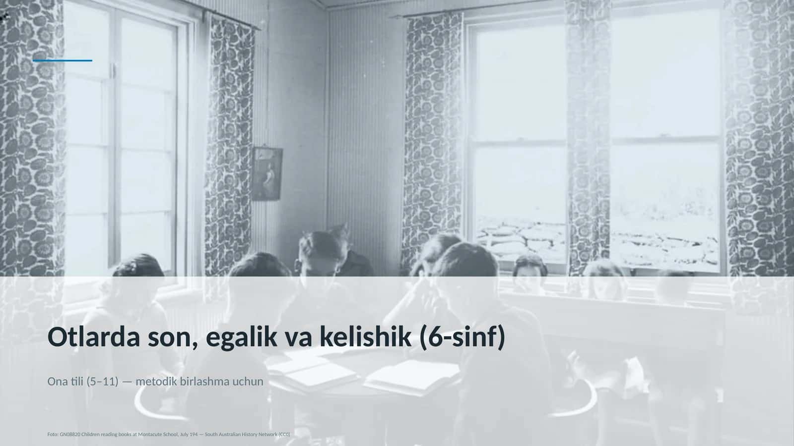 Otlarda son, egalik va kelishik (6-sinf) 1