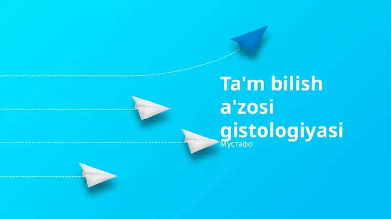 Ta'm bilish a'zosi gistologiyasi 1