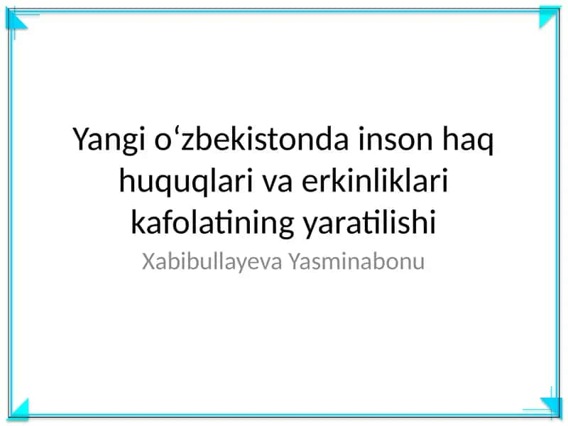 Yangi oʻzbekistonda inson haq huquqlari va erkinliklari kafolatining yaratilishi 1