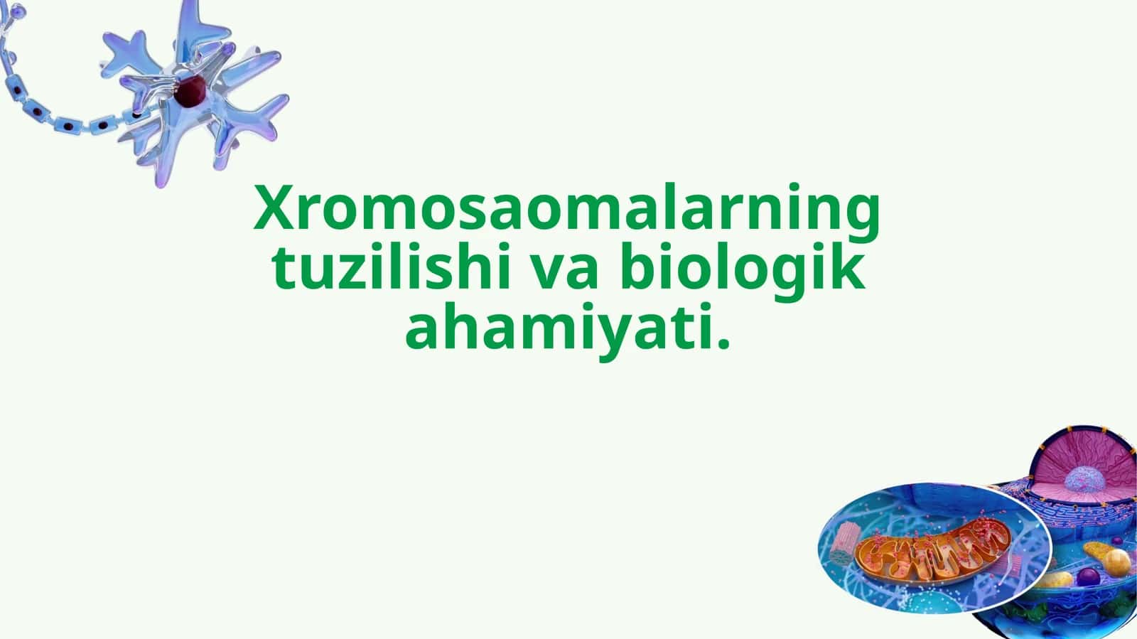 Xromosaomalarning tuzilishi va biologik ahamiyati. 1