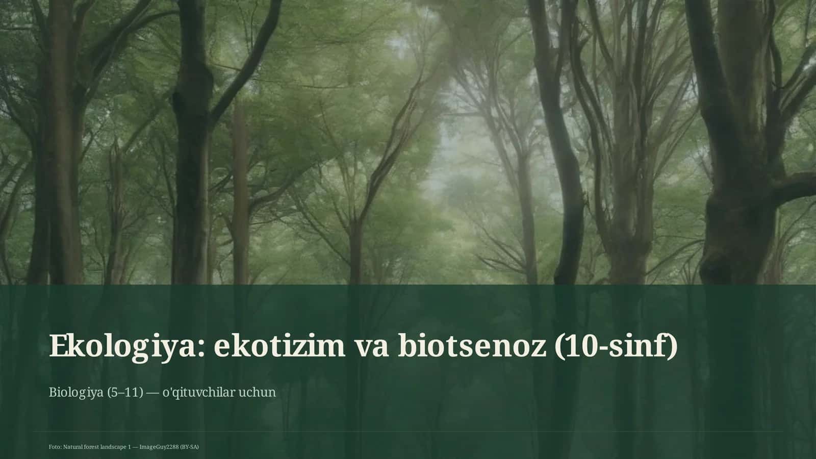 Ekologiya: ekotizim va biotsenoz (10-sinf) 1