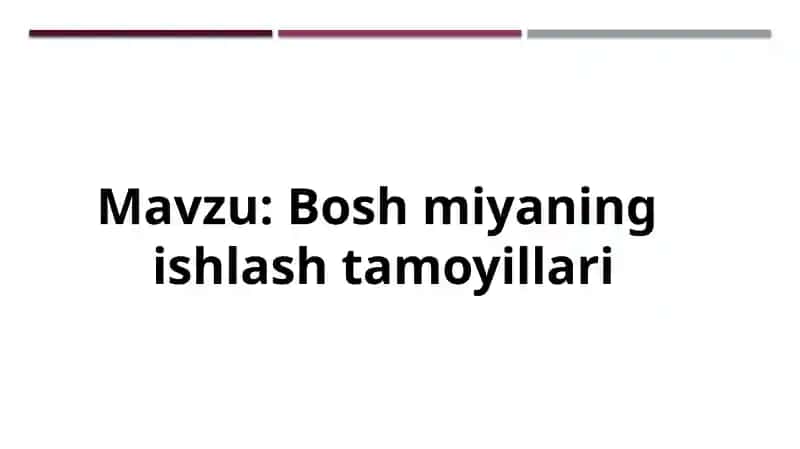 Bosh miyaning  ishlash tamoyillari 1