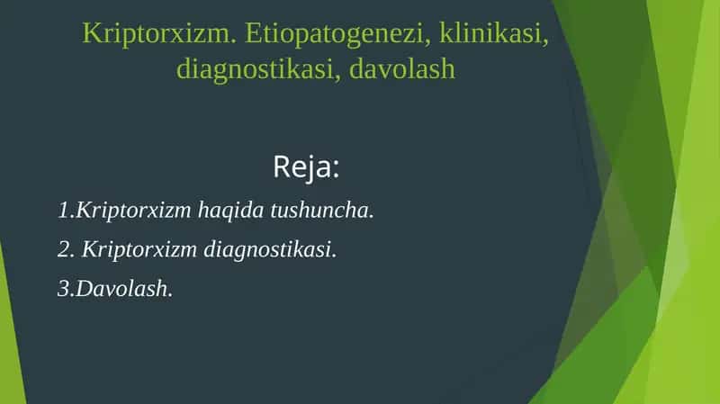 Kriptorxizm 1
