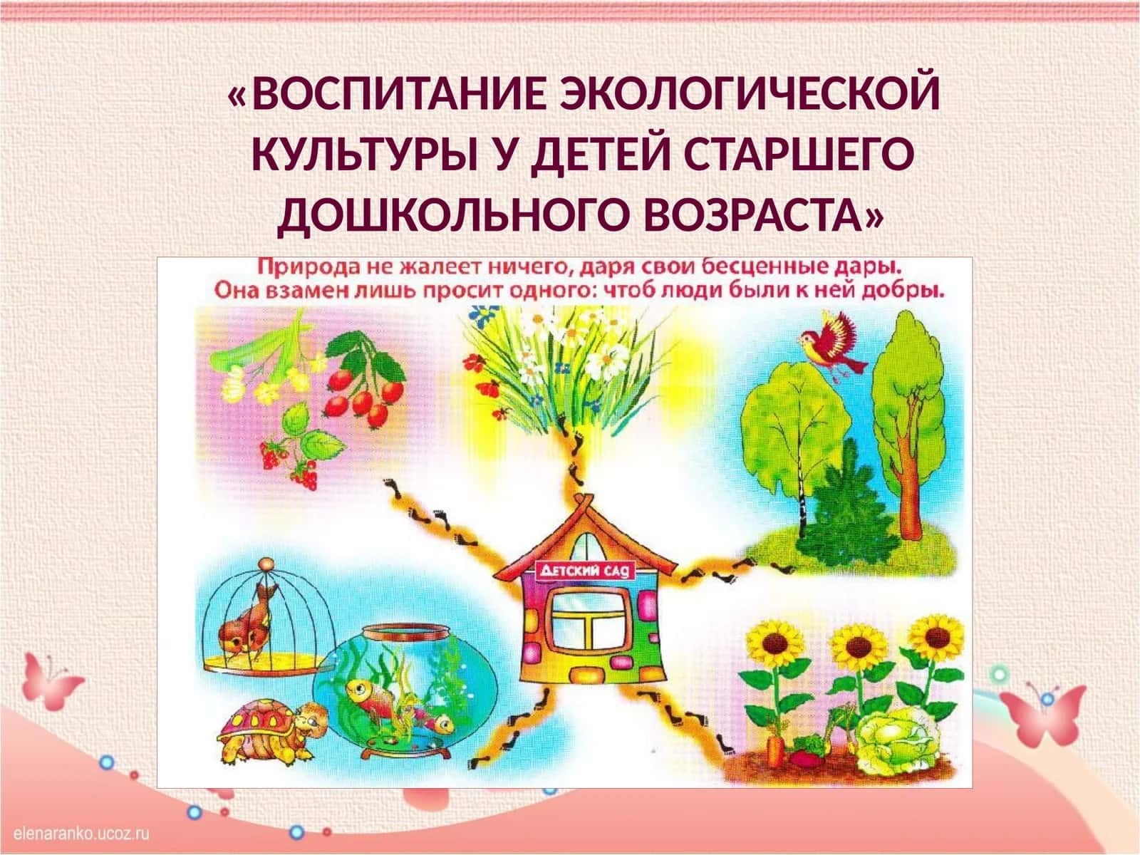 ВОСПИТАНИЕ ЭКОЛОГИЧЕСКОЙ КУЛЬТУРЫ У ДЕТЕЙ СТАРШЕГО ДОШКОЛЬНОГО ВОЗРАСТА 1