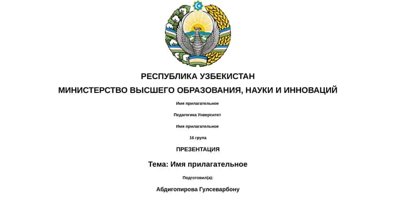 Имя прилагательное 1