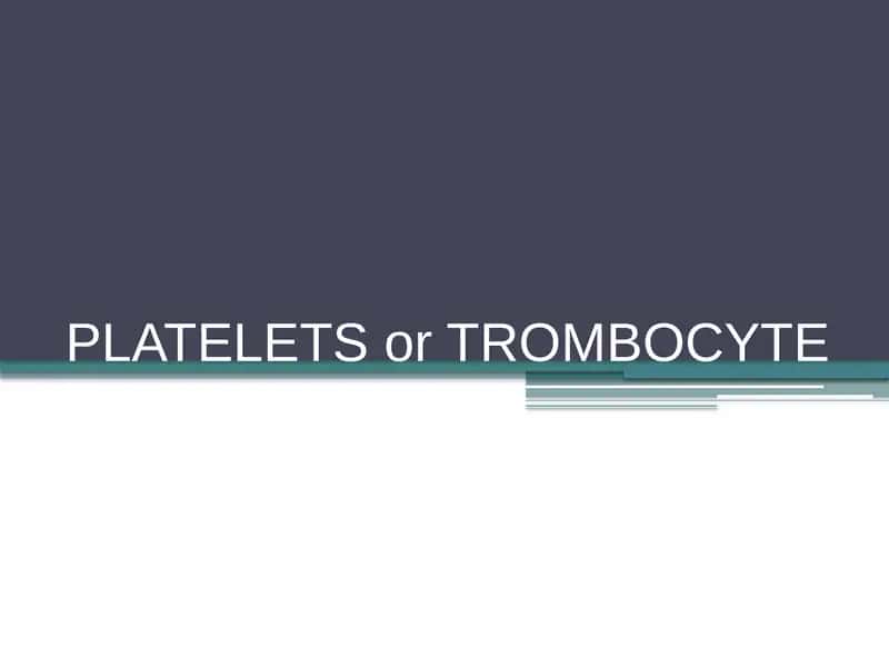PLATELETS or TROMBOCYTE 1