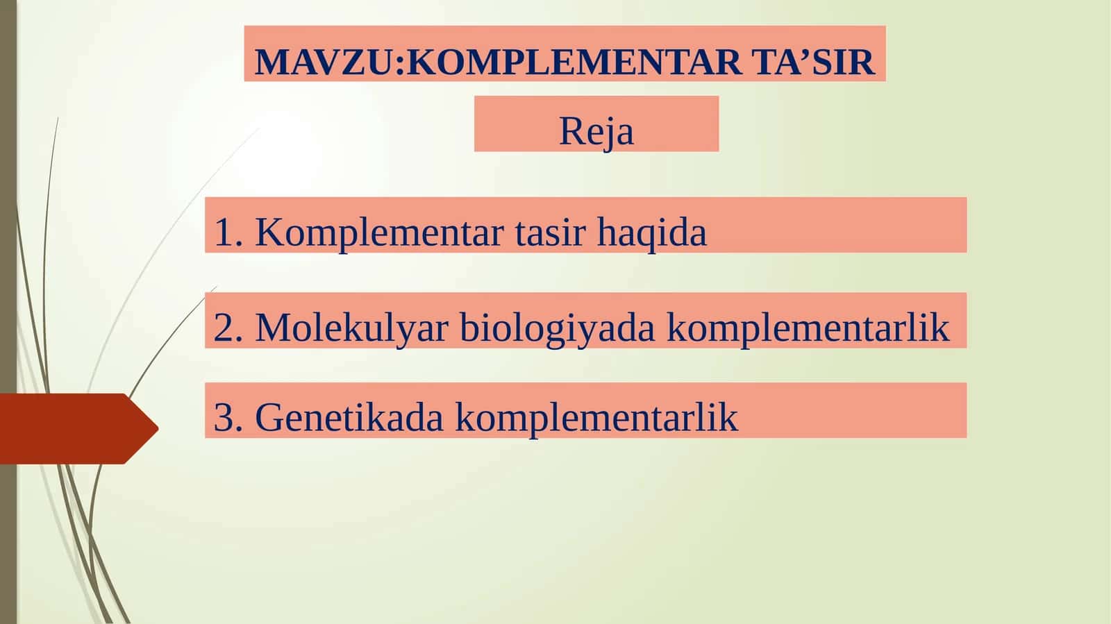 KOMPLEMENTAR TA’SIR 1