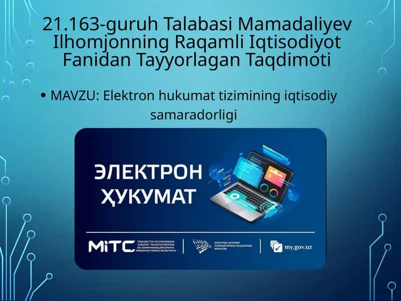 Elektronhukumatning iqtisodiy samaradorligi 1