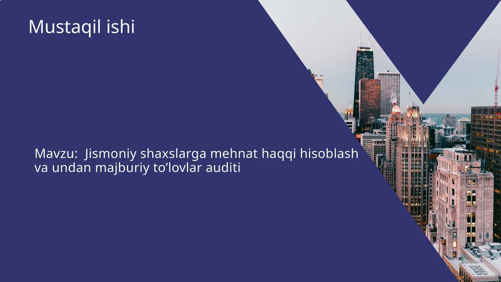Jismoniy shaxslarga mehnat haqqi hisoblash va undan majburiy to’lovlar auditi 1