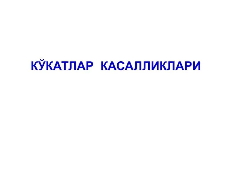 Кўкатлар касалликлари 1