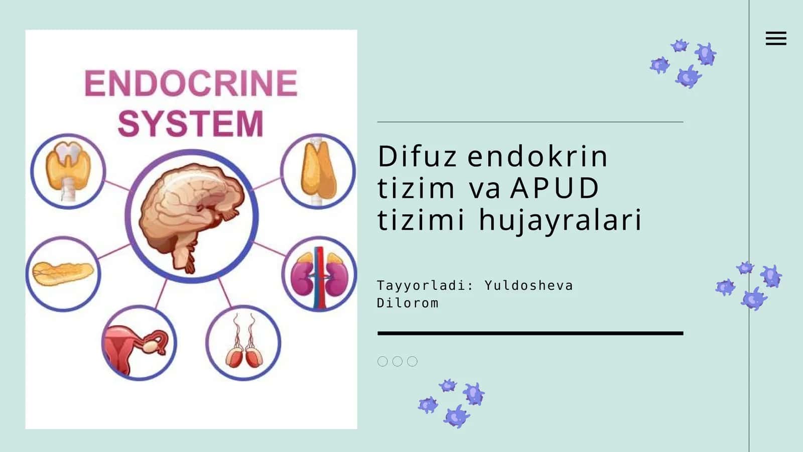 DifuzendokrintizimvaAPUDtizimihujayralari 1
