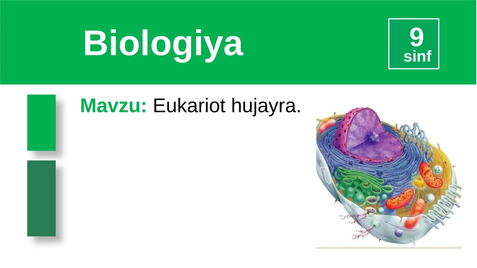 Eukariot hujayra 1