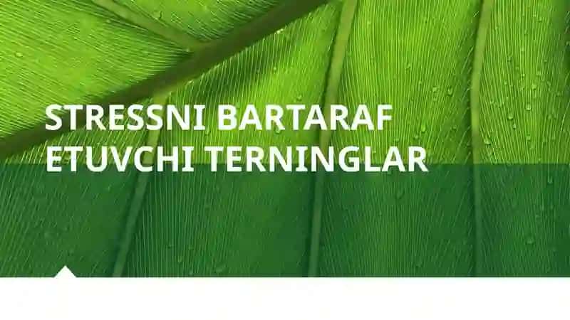Stressnibartaraf etuvchiterninglar 1