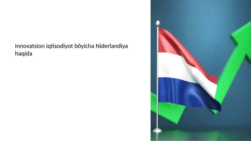 Niderlandiya innovatsion iqtisodiyot bo'yicha resurslar 1
