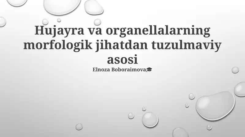 Hujayra va organellalarning morfologik jihatdan tuzulmaviy asosi 1