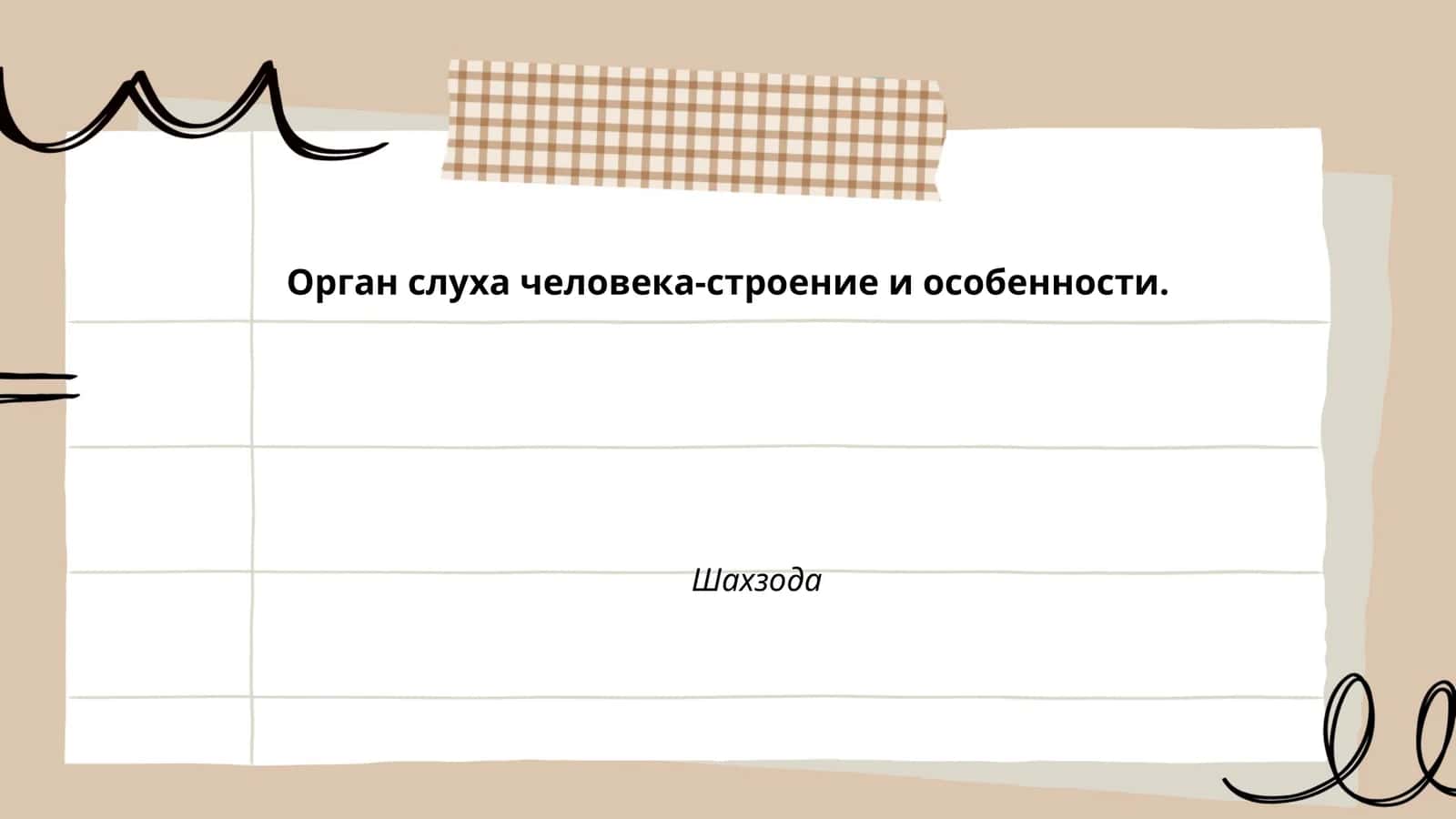 Орган слуха человека-строение и особенности 1