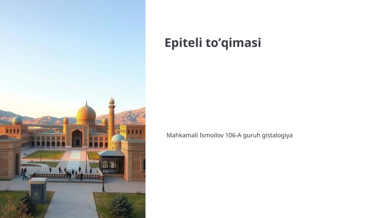 Epiteli toʼqimasi 1
