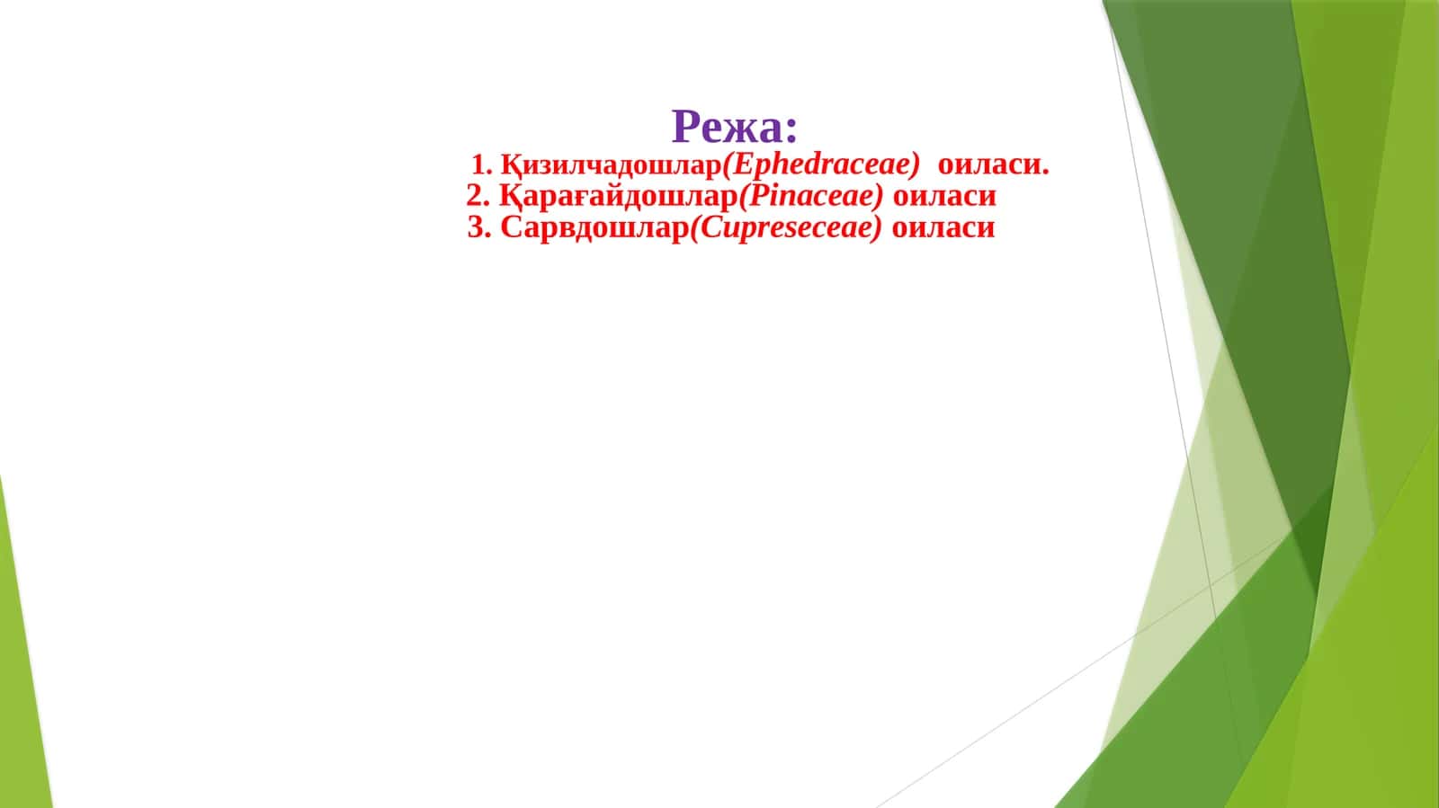 Эфедрадошлар (Ephedraceae) оиласи 1
