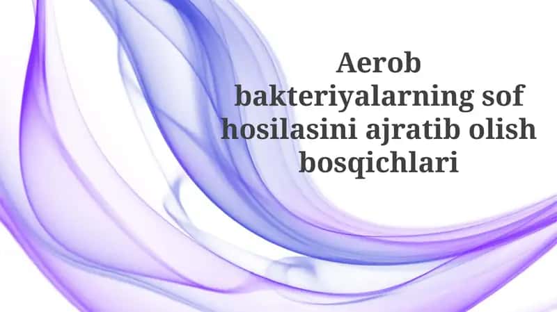 Aerobbakteriyalarningsofhosilasiniajratibolishbosqichlari 1