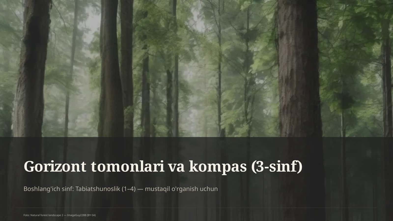 Gorizont tomonlari va kompas (3-sinf) 1