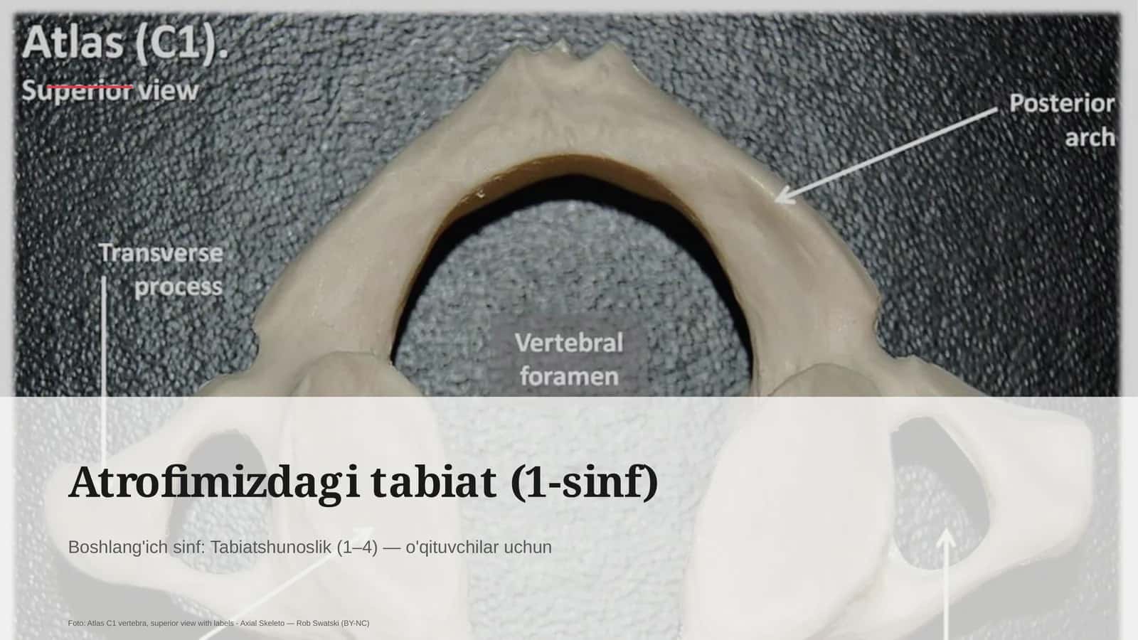 Atrofimizdagi tabiat (1-sinf) 1